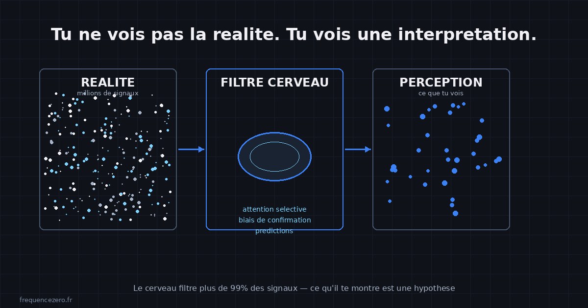 Schéma du filtrage perceptif : sur des millions de signaux sensoriels captés, le cerveau en filtre plus de 99% pour construire une perception consciente utile à l'action