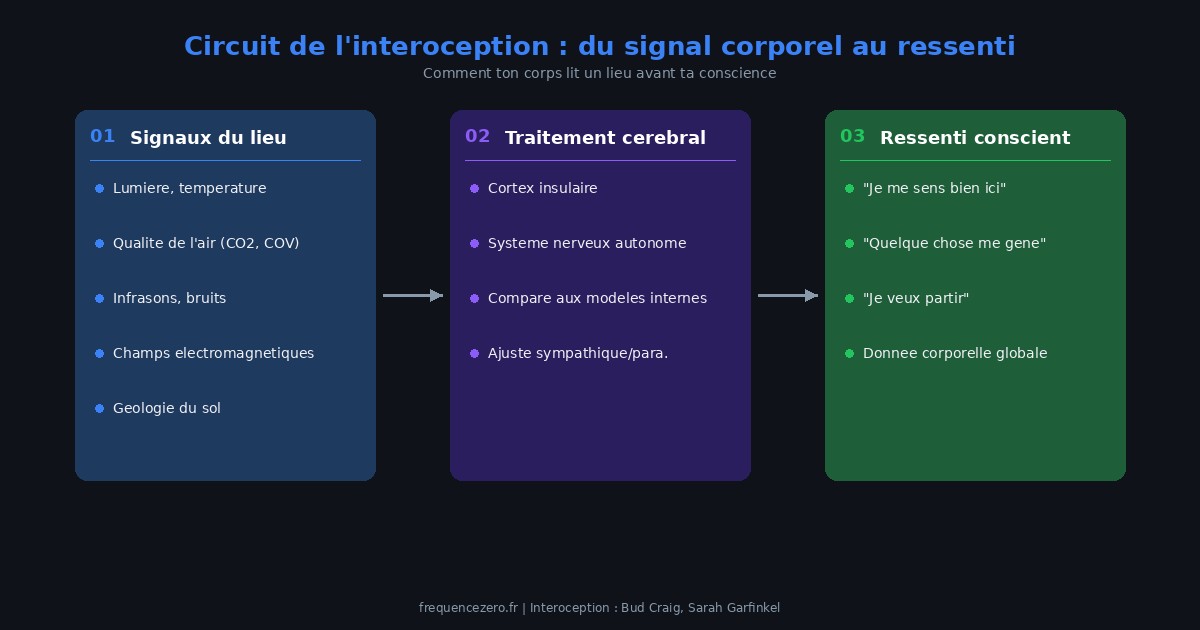 Schéma du circuit de l'interoception : les signaux d'un lieu sont captés par le corps, traités par le cortex insulaire et le système nerveux autonome, puis produits sous forme de ressenti conscient