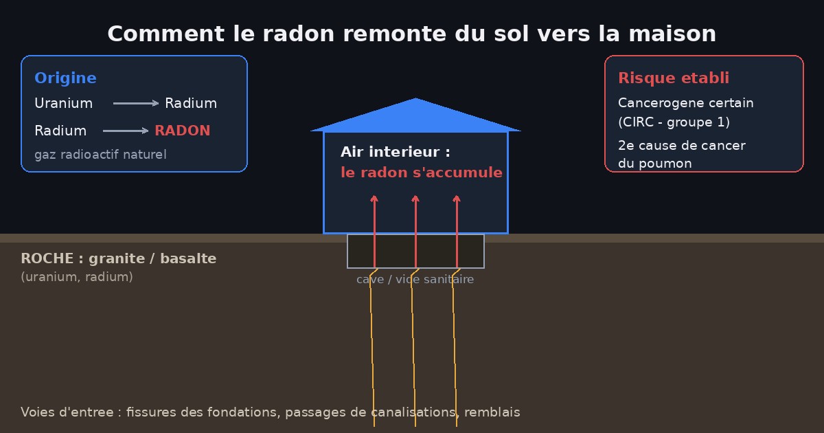 Schéma montrant comment le radon remonte du sol vers l'intérieur d'une maison : désintégration de l'uranium dans la roche granitique, infiltration du gaz radon par les fissures des fondations, la cave et les passages de canalisations, accumulation dans l'air intérieur d'un habitat mal ventilé