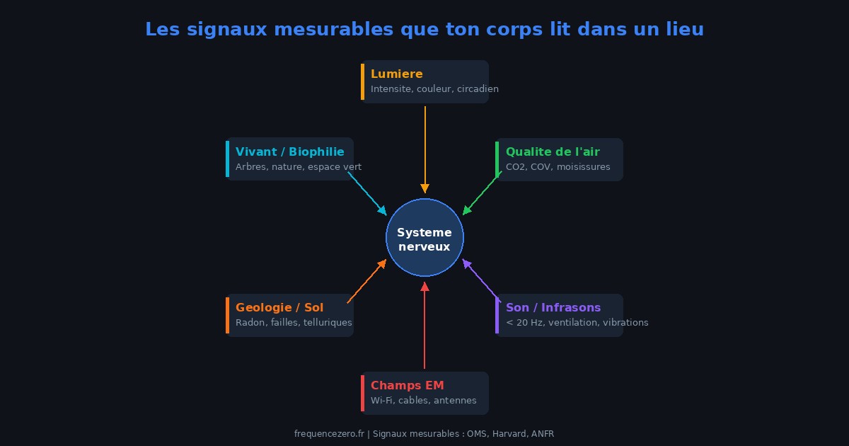 Schéma des 6 signaux mesurables qu'un lieu envoie au système nerveux : lumière, qualité de l'air, son et infrasons, champs électromagnétiques, géologie du sol, présence du vivant